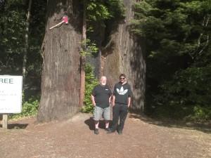 7 Redwoods National Park, CA (3)