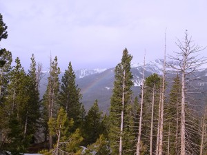 10 Rock Mountain  National Park, CO (31)