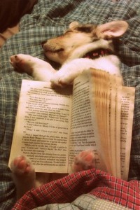 puppy-page-holder-and-bookmark[1]