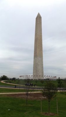 Washington D.C.Fayez Jefferson Memorial, Washington, D.C (20)